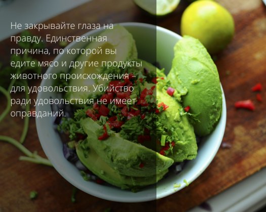 Топ постов о вегетарианстве для ценителей здорового образа жизни