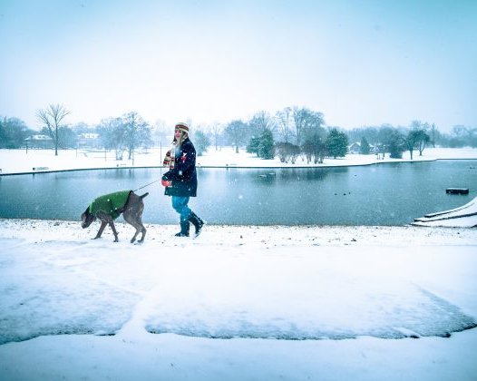 Как тренироваться, если вы простыли